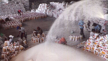 Vì sao xuất khẩu gạo trở nên “ảm đạm”?