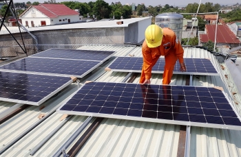 30 nhà đầu tư đang chờ rót vốn vào dự án năng lượng tái tạo tại Cà Mau