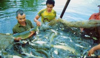 Ngành thủy sản phải thận trọng với hàng rào phi thuế quan