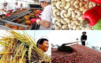 Đưa Việt Nam vươn lên vị trí hàng đầu thế giới về nông sản
