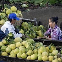 thu tuong lam viec voi 13 tinh thanh dbscl