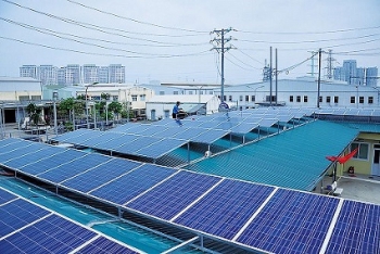 Cần phát tín hiệu về giá để thu hút tư nhân đầu tư vào năng lượng tái tạo