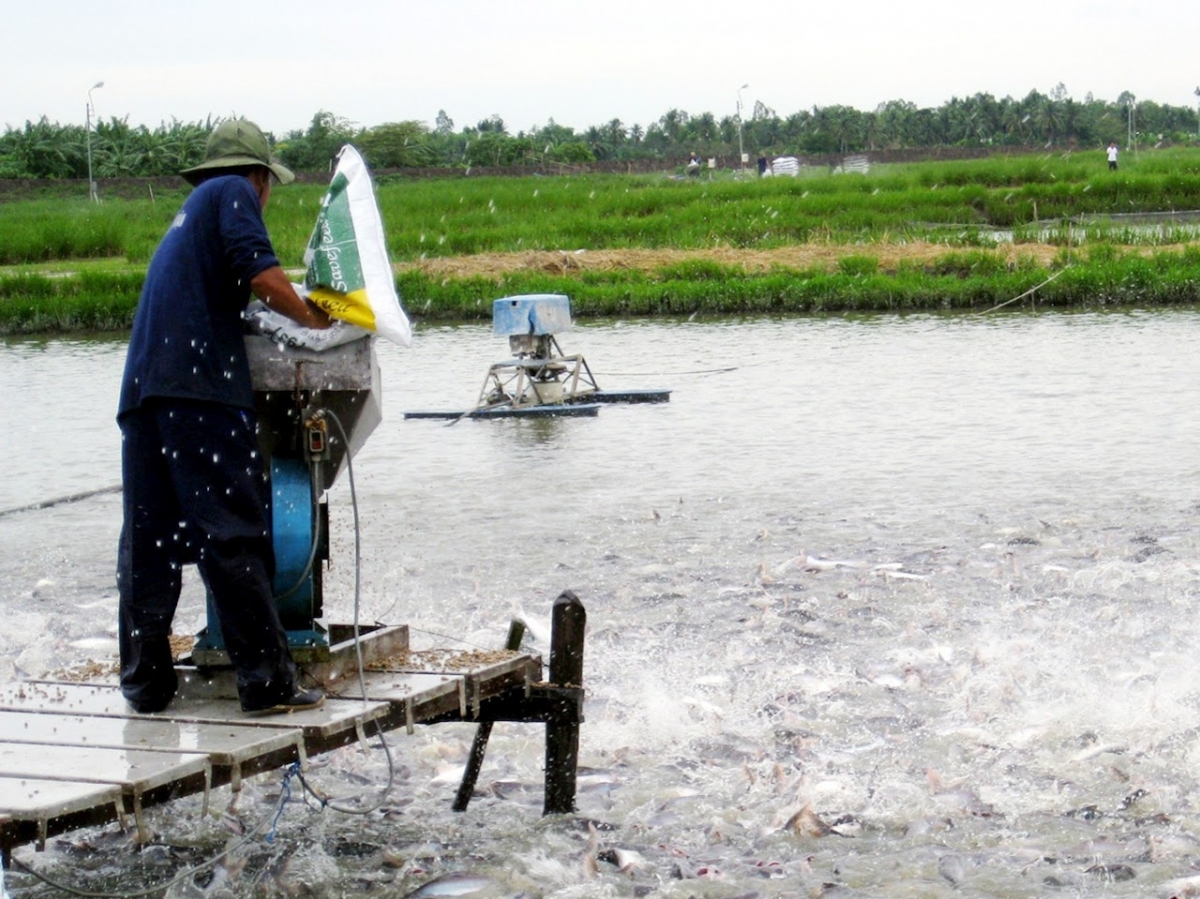 Dự án hàng nghìn tỷ đồng hy vọng nâng tầm thủy sản Việt