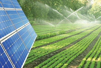 Điện mặt trời kết hợp nông nghiệp và thủy sản đang gặp nhiều trở ngại
