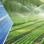 Điện mặt trời kết hợp nông nghiệp và thủy sản đang gặp nhiều trở ngại