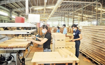 Dịch bệnh bủa vây các thị trường nhưng ngành gỗ xuất khẩu vẫn đạt gần 9 tỷ USD