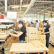 Dịch bệnh bủa vây các thị trường nhưng ngành gỗ xuất khẩu vẫn đạt gần 9 tỷ USD