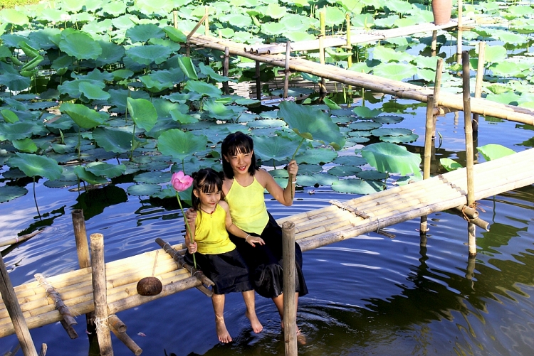 huong sen dau mua giua long pho thi