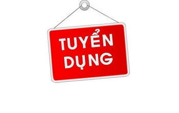 PVE tuyển dụng chuyên viên mua sắm