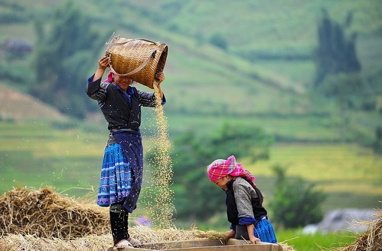 len lich ghe mua vang mu cang chai va trai nghiem festival du luon 2018