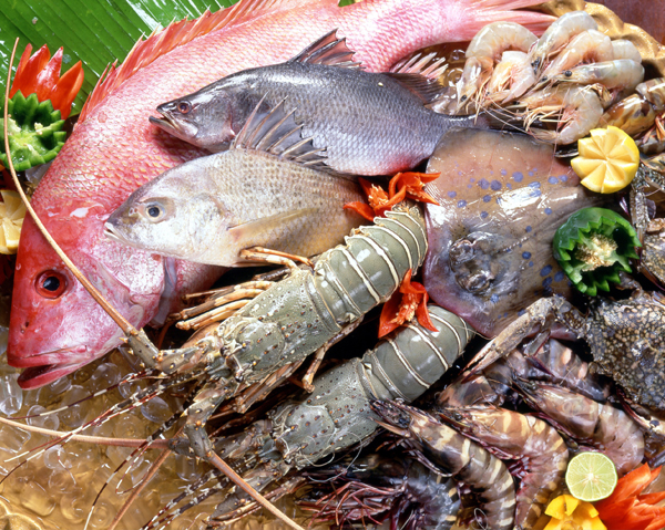 Thủy hải sản Hà Nội ô nhiễm kim loại: Cục An toàn thực phẩm đã vào cuộc
