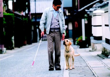 Bài học nhìn người từ câu chuyện con chó dẫn đường và người chủ mù lòa