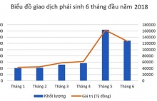 vndirect dan dau thi phan chung khoan phai sinh 6 thang lien tiep