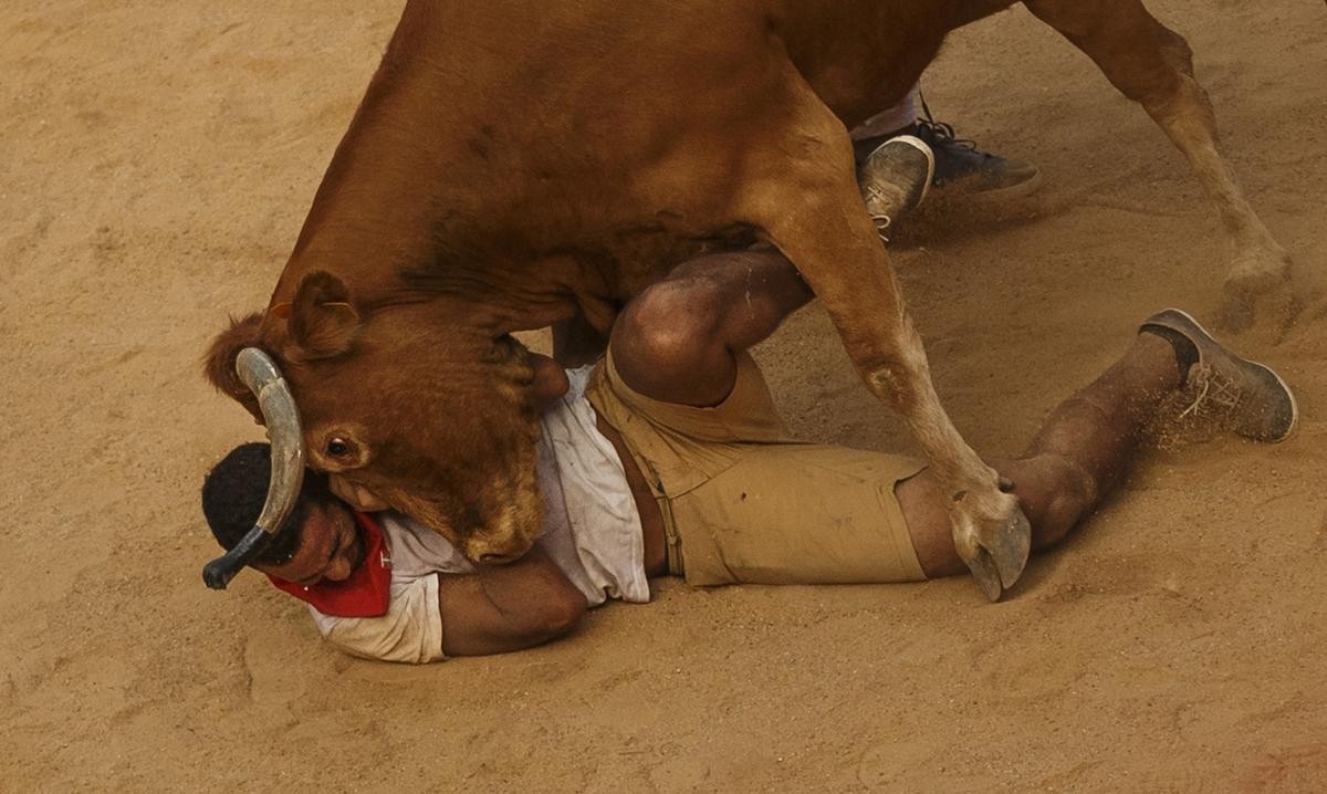 [Chùm ảnh] Kỳ thú lễ hội “bò rượt” San Fermin