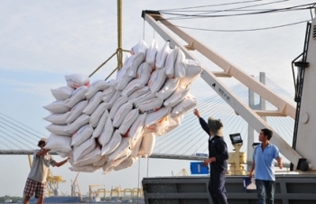 Vì sao xuất khẩu gạo sang Trung Quốc sụt giảm đột ngột?