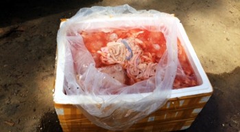 Quảng Nam: 1 ngày bắt giữ gần 6 tấn nội tạng bốc mùi