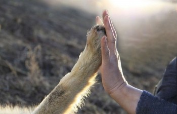 Lời khuyên cho những ai còn núp bóng gia đình