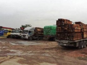 Bắt đoàn xe chở gỗ quá tải đến 651%