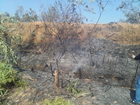 Hà Nội: Cháy rừng phòng hộ Sóc Sơn