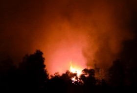 TP HCM: Cháy rừng, hàng chục hộ dân hoảng hốt