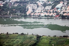 TP HCM: Thu dọn lục bình, rác thải trên kênh