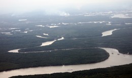 TP HCM mở đường xuyên rừng ngập mặn Cần Giờ