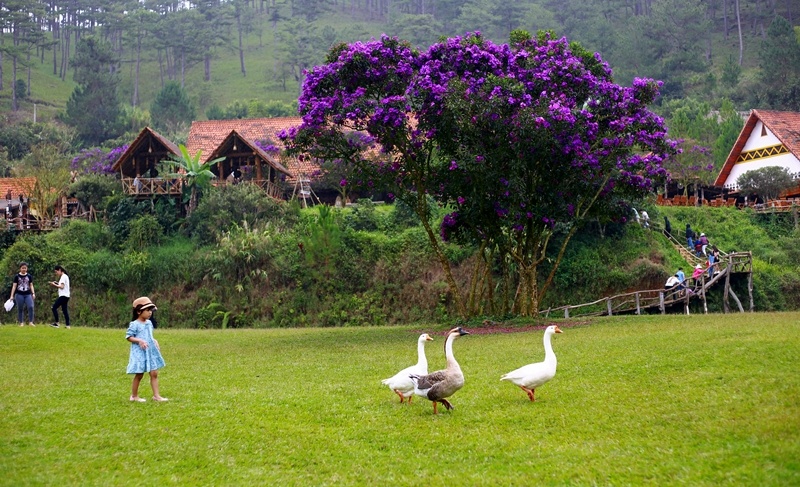 co mot ngoi lang dep nhu co tich gan da lat