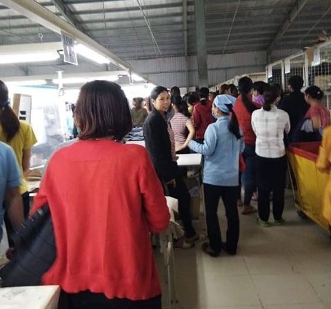 Phú Thọ: Hơn 100 công nhân Công ty TNHH Sung Jin Vina đình công