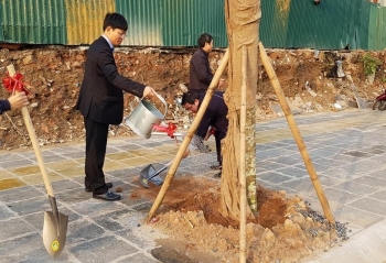 Hà Nội: Quận Cầu Giấy, huyện Hoài Đức phát động Tết trồng cây
