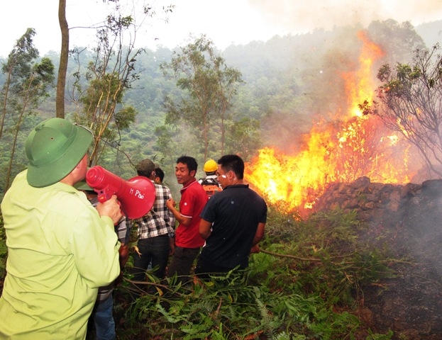 Bắc Giang: Chữa cháy rừng, 1 người thiệt mạng