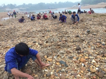Phú Thọ: Người dân đổ xô tìm đá quý trên sông Chảy
