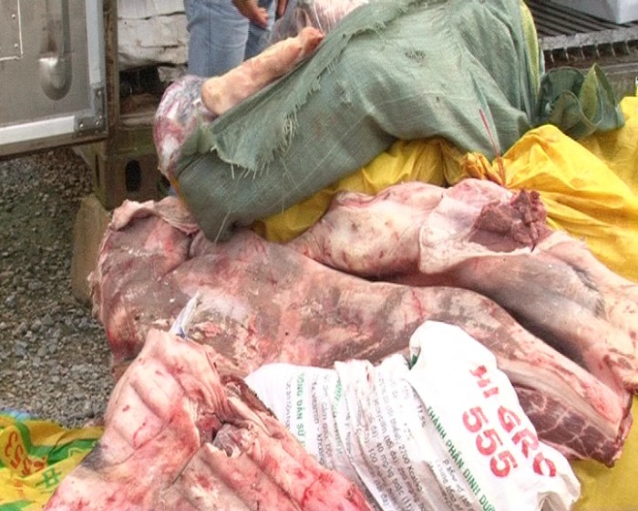 Thu giữ gần 20 tấn thịt lợn thối