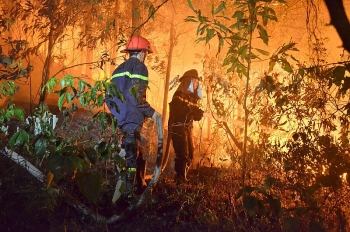 Hà Nội: Trắng đêm dập lửa cứu rừng