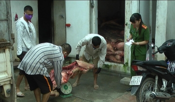 Lạng Sơn: Tiêu hủy gần 5 tấn thịt lợn chết