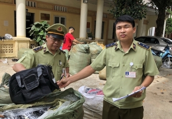 Lạng Sơn: Thu giữ gần 600 túi xách có dấu hiệu giả mạo nhãn hiệu nổi tiếng