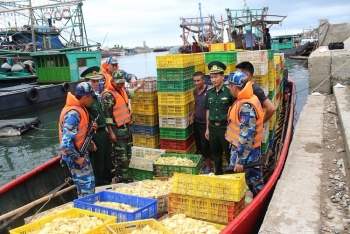 Quảng Ninh: Đò sắt chở 35.000 con vịt giống nhập lậu