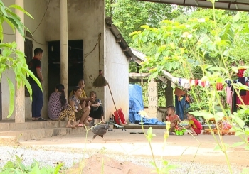 Thông tin mới vụ nghi đầu độc bằng thuốc sâu ở Phú Thọ