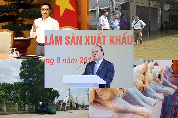 Không có dịch bệnh tại các xã ngập úng ở Chương Mỹ; Gần 88.000 tấn thịt gà giá rẻ về Việt Nam