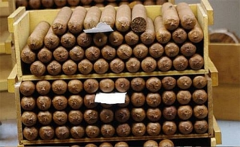 Hà Nội: Thu giữ hơn 1.200 điếu xì gà lậu