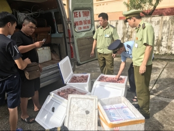 Lạng Sơn: Thu giữ lô hải sản đông lạnh nhập lậu từ Trung Quốc