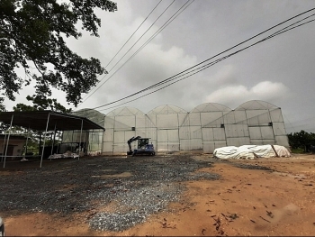 Phú Thọ: Đóng cửa xưởng sản xuất phân vi sinh không phép, gây ô nhiễm