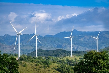Vì sao Đắk Lắk phải đề nghị Bộ Công Thương "cứu" loạt dự án điện gió 685MW?