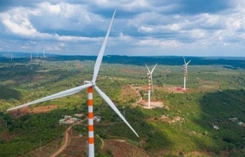 Những tỉnh nào đề xuất chuyển đất rừng làm điện gió?