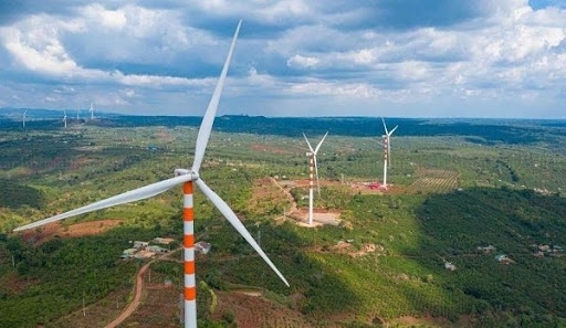 Những tỉnh nào đề xuất chuyển đất rừng làm điện gió?