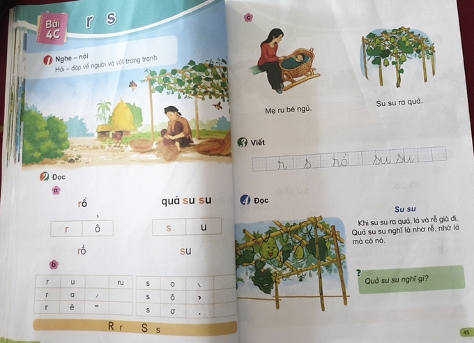 "Chương trình mới không ép học tiếng Việt nhanh"