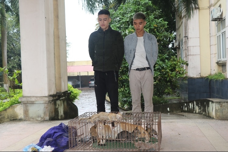 Vĩnh Phúc: Bắt hai thanh niên trộm mèo
