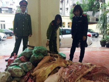 Phù phép 1 tấn thịt lợn bẩn ở chợ Phùng Khoang