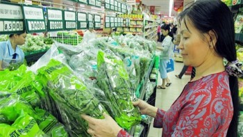 Việt Nam chưa có máy đo hóa chất trong thực phẩm