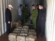 Hơn nửa tấn cần sa giấu trong container ở Khu công nghiệp Đình Vũ