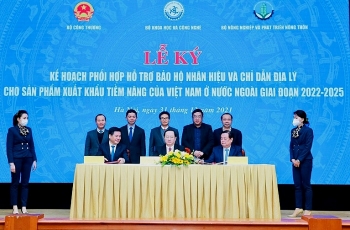 Bộ KH&CN sẽ hỗ trợ bảo hộ nhãn hiệu, chỉ dẫn địa lý nông sản Việt Nam
